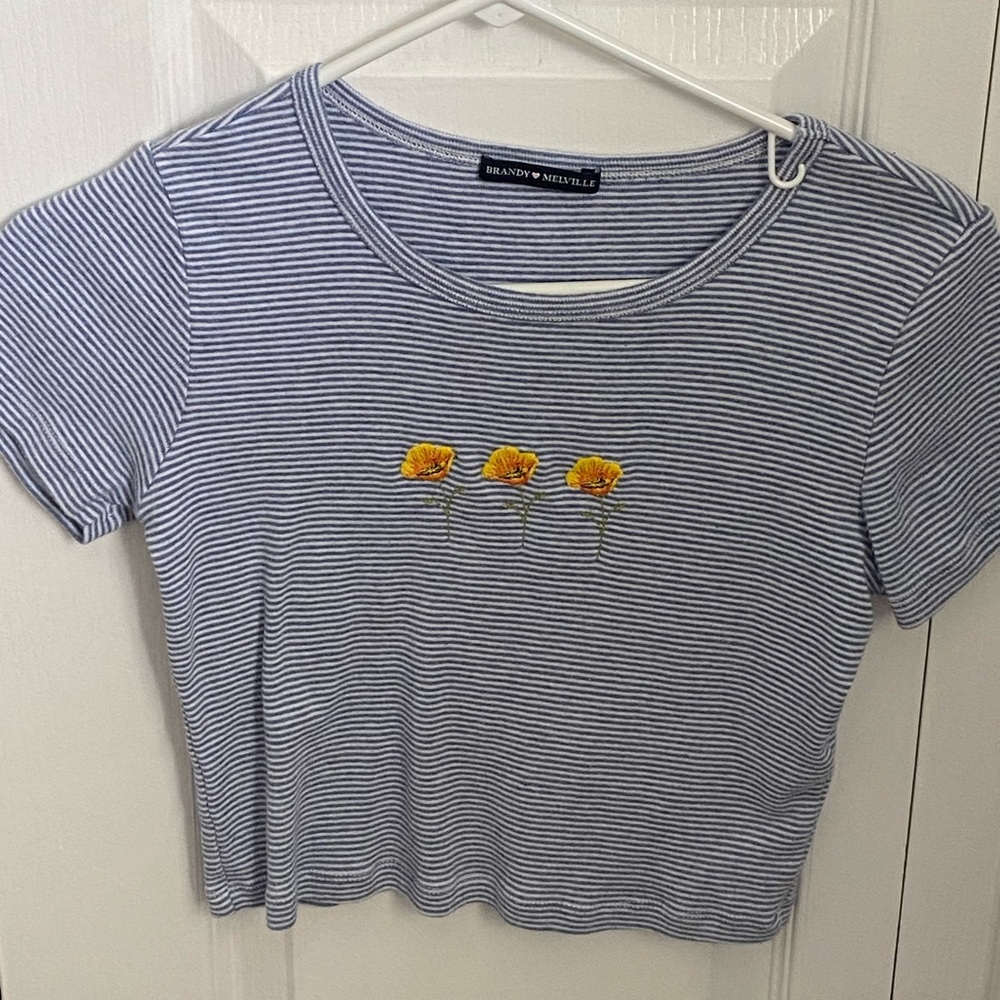 Brandy Melville Crop Shirt